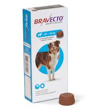 Bravecto 1000mg 1 Tab L