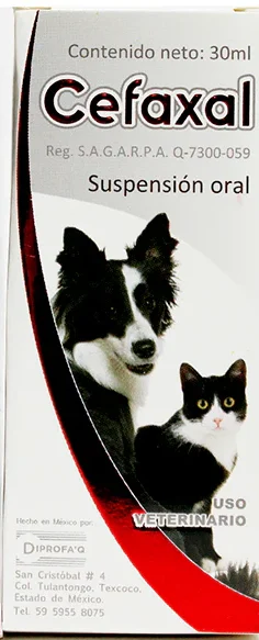 Cefaxal suspension oral 30ml