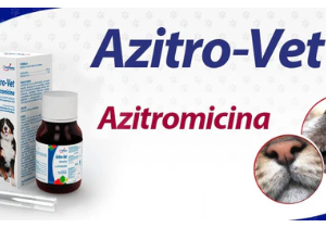 Azitro-Vet