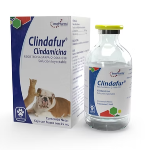 Clindafur 25 ml
