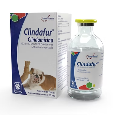 Clindafur 25 ml