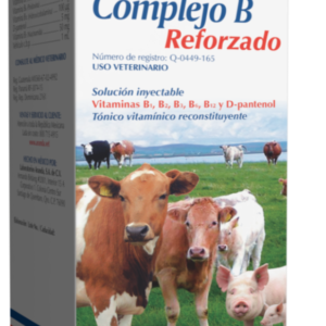 Complejo B Reforzado 100 ml