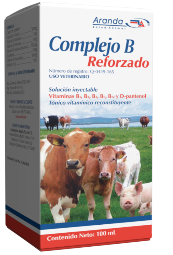 Complejo B Reforzado 100 ml