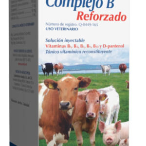 Complejo B Reforzado 50 ml