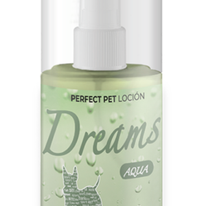 Dreams Aqua 100 ml