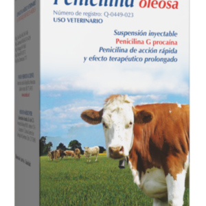 Penicilina Oleosa 100 ml