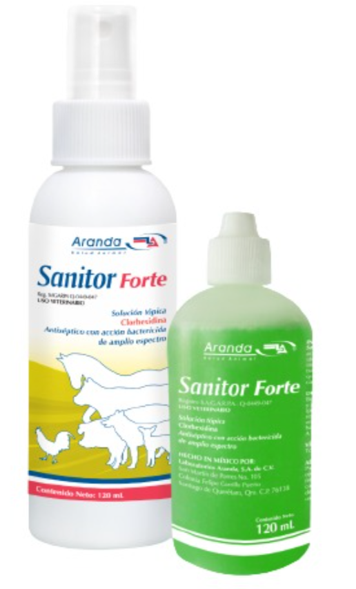 Sanitor Forte 120 ml
