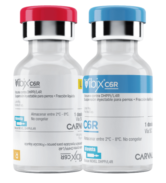 Vibix C6R 1 ml