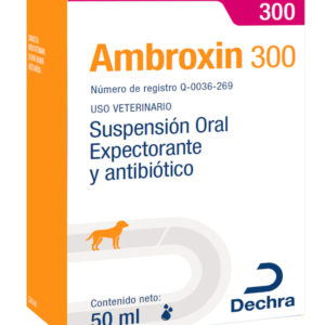 AMBROXIN 300 50 ml DECHRA