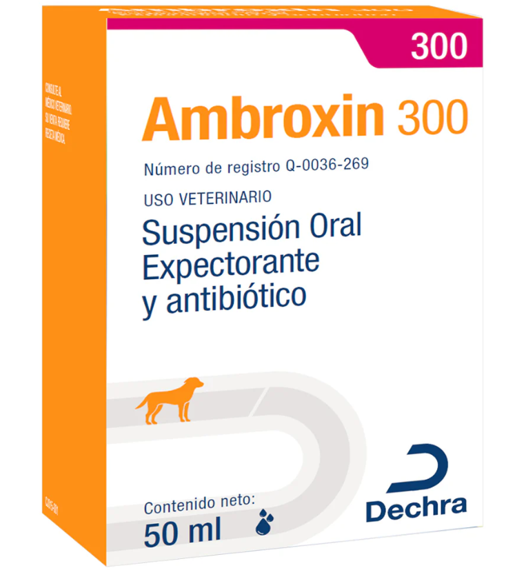 AMBROXIN 300 50 ml DECHRA