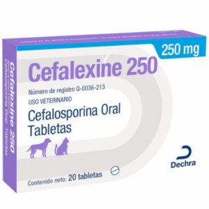 CEFALEXINE CAJA 250 mg DECHRA