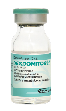 Dexdomitor 10 ml
