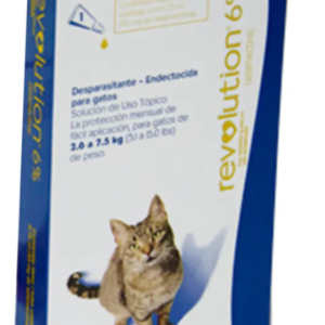 Revolution Azul Gatos 1/P