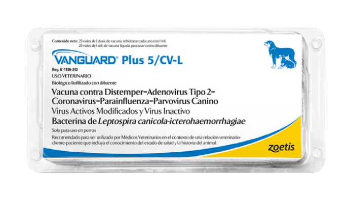 Vanguard Plus 5/CV-L