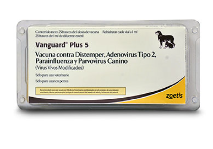 Vanguars Plus 5 Zoetis