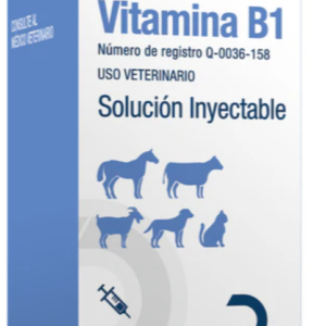 Vitamina B1 20ml