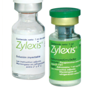 Zylexis