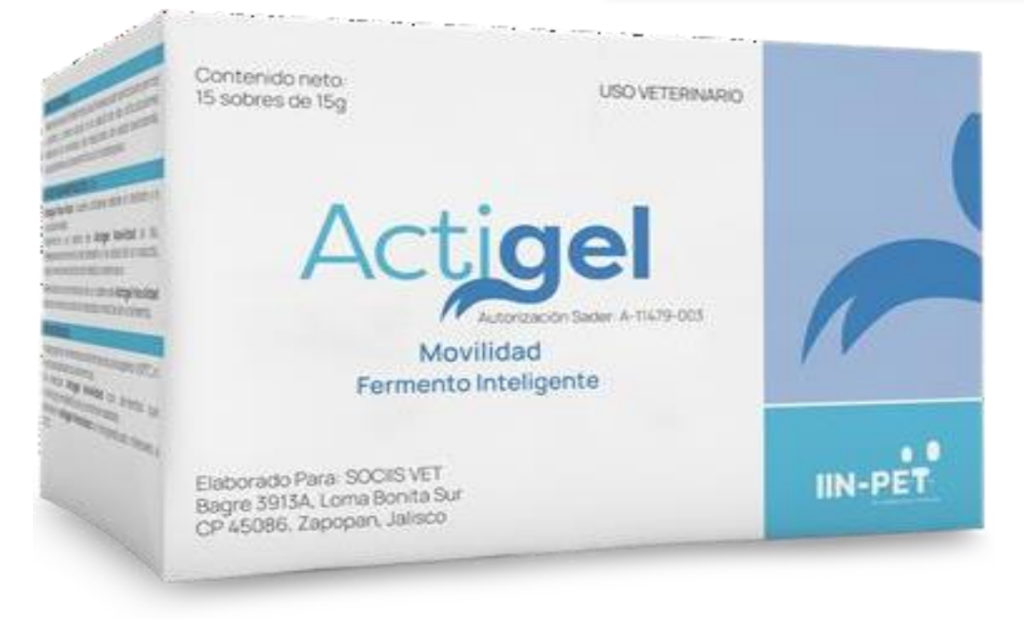 Actigel Movilidad 15 g